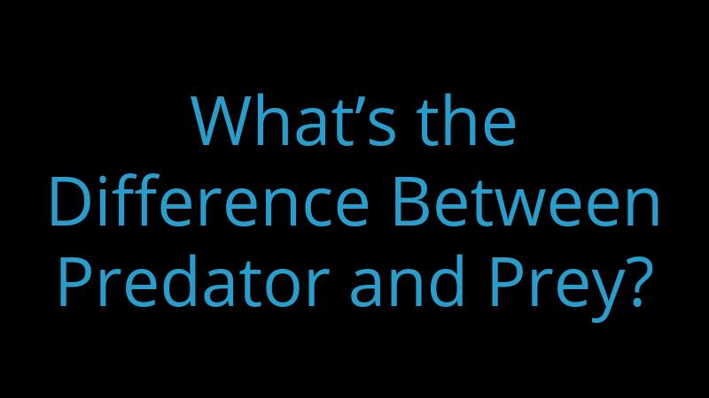 What’s the Difference Between Predator and Prey?