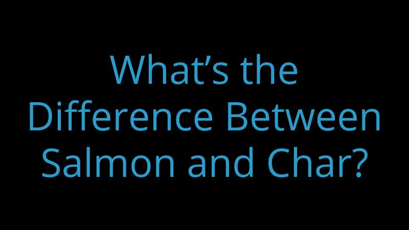 What’s the Difference Between Salmon and Char?